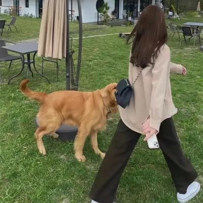 脑火