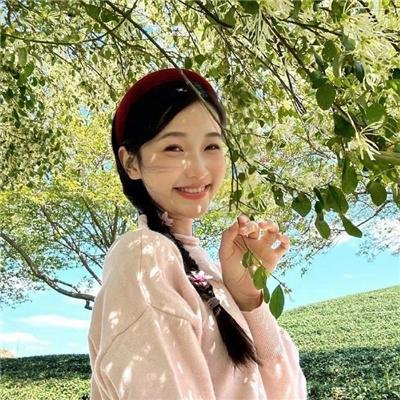寳物争夺战